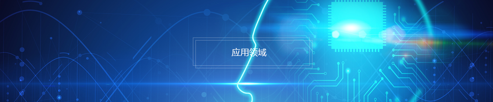 应用领域